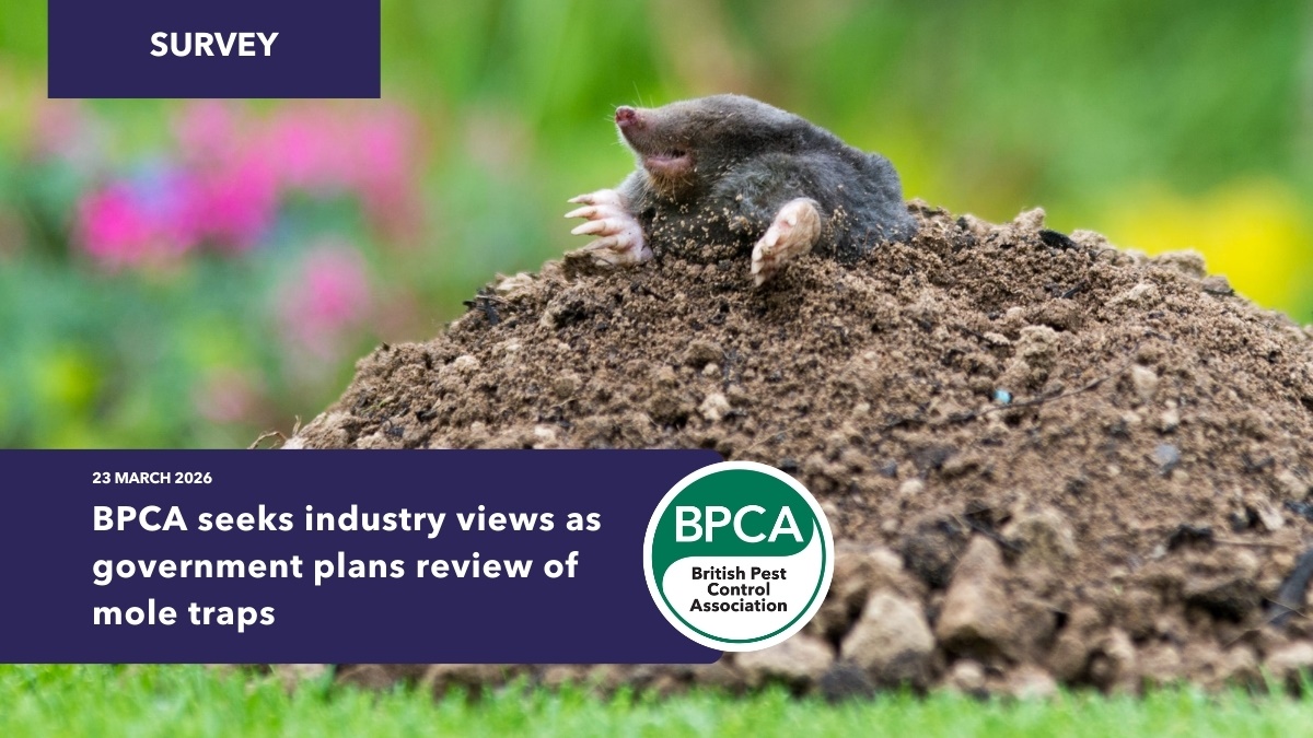 MolecontrolandtrapsurveyheroBPCA